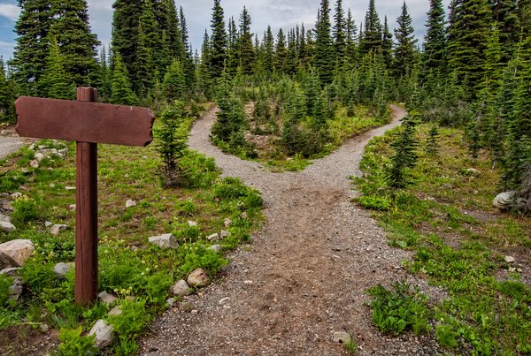 Ein Waldweg teilt sich in zwei Richtungen, davor steht ein Schild ohne Text